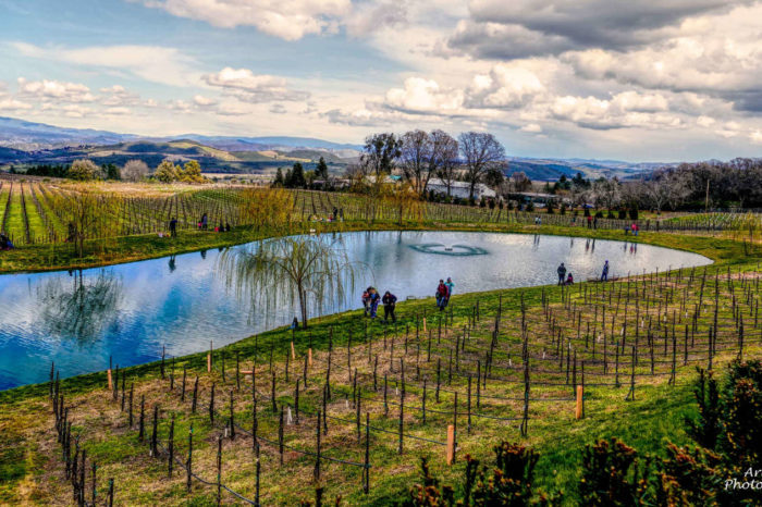 Boatique Winery, Kelseyville