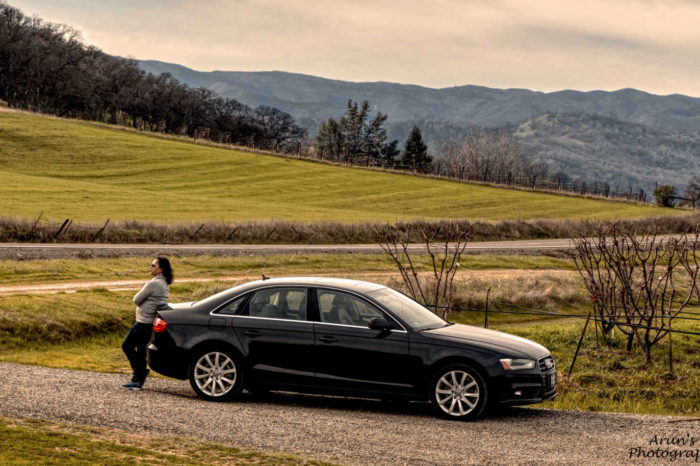 Capay Valley Vineyard, Brooks