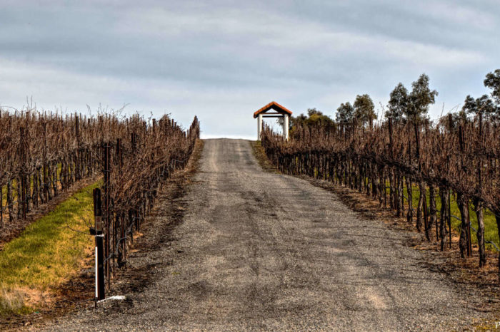 Capay Valley Vineyard, Brooks